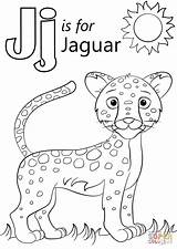 Letter J Is For Jaguar  Super Coloring Preschool coloring Pages Abc sketch template