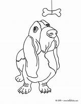Basset dog coloring Pages  Hellokidscom sketch template