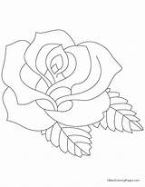 Red Rose Coloring Page At GetDrawings  Free Download sketch template