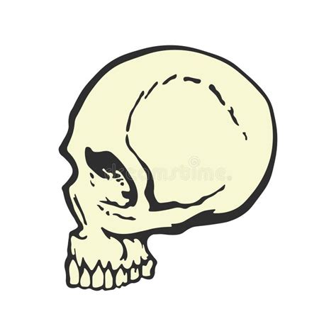 Human Skull in Profile. Cartoon Style. Side View. Template Graphic ...