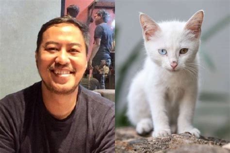 Gambar Kucing Dan Anjing Bersahabat - Koleksi Gambar HD