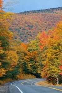 Explore the Stunning Fall Foliage in Brattleboro, VT