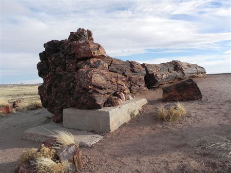 Petrified Forest National Park