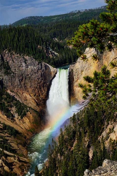 The most beautiful view I’ve ever seen- The Grand Canyon of The Yellowstone National Park ...