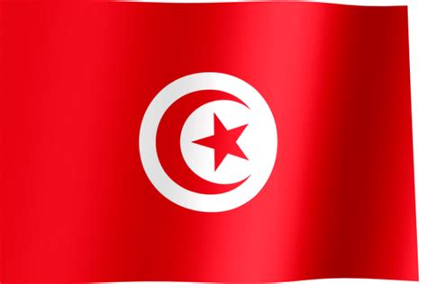Tunisia Flag GIF | All Waving Flags