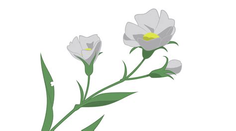 Anime flower png, Anime flower png Transparent FREE for download on WebStockReview 2024