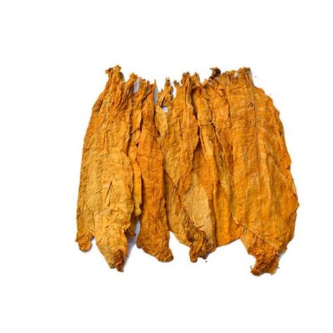 Organic Tobacco leaves - Shripathigroup