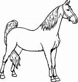 Printable Horse Coloring Pages Sketch Page sketch template