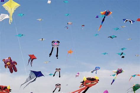 National kite flying festival | The Financial Express