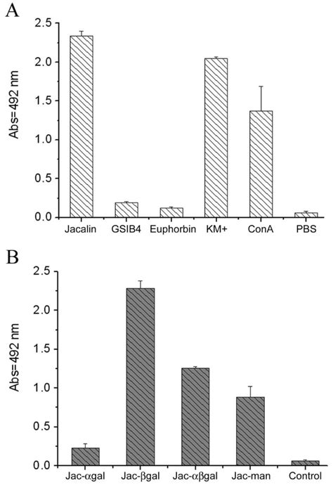 Evidence for glycosylation on a DNA-binding protein of Salmonella enterica | Microbial Cell ...