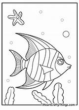 20 Free Angelfish Coloring Pages For Kids sketch template
