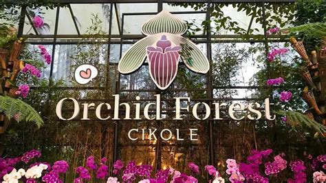 Wisata ke Orchid Forest Cikole, Ada Banyak Anggrek Cantik! Page All | Orami