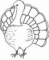 Free Printable Turkey Coloring Pages For Kids sketch template