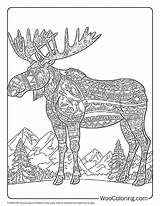 100  Moose Coloring Pages Free PDF To Print Woo Coloring sketch template
