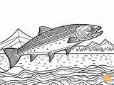Lake Trout Coloring Page For Adults  Free Printable trout sketch template