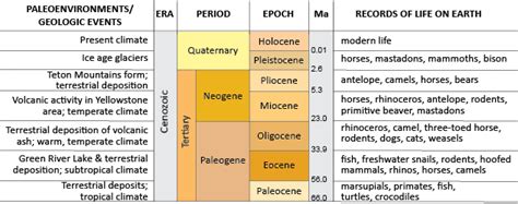 WSGS Paleontology Page: The Cenozoic Era - SweetwaterNOW