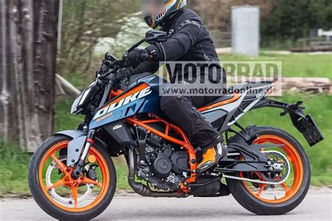 2024 Ktm 390 Duke - Dacia Dorotea