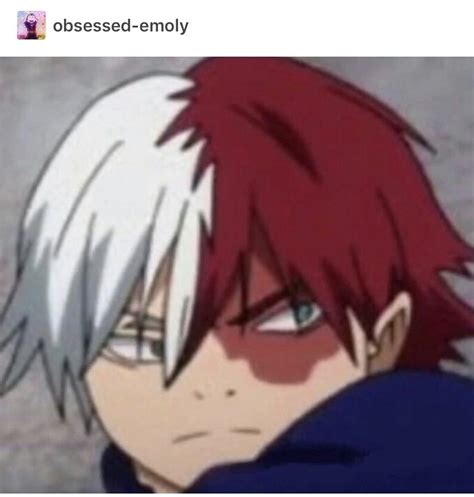 Todoroki Mha Meme Faces - joanamtfjoana