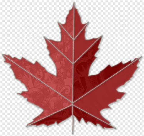 Maple Leaf, Canadian Maple Leaf, Japanese Maple, Maple Tree, Maple Syrup, Toronto Maple Leafs ...