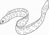 Eel coloring Pages Of electric fan Free Download clip Art  WikiClipArt sketch template