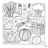25  Desenhos de Horta Para Imprimir E Colorir/Pintar sketch template