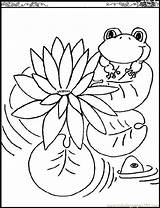 Lily Pad Flower Coloring Pages  Home sketch template