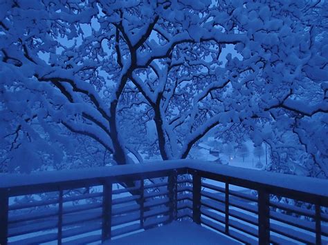 Interesting Photo of the Day: Blue Hour Snow