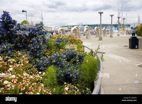 Carl S. English Jr. Botanical Gardens at Ballard Locks, in Salmon Bay ...