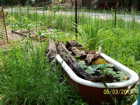 This bathtub pond is perfect if you're short on space in your garden ...