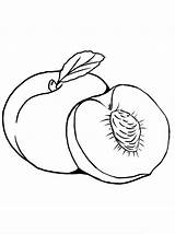 A Peach Coloring Page  Free Printable Pages For Kids sketch template