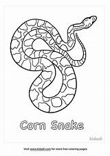 Free Corn Snake Coloring Page  Printables Kidadl sketch template