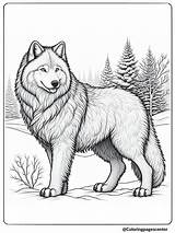 9 Free Printable Cute Wolf Coloring Pages sketch template