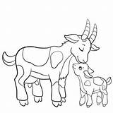 Fazenda Bode Colorir Kolorowanki Cabras Ziege Koza Ausmalbilder Kozy  sketch template