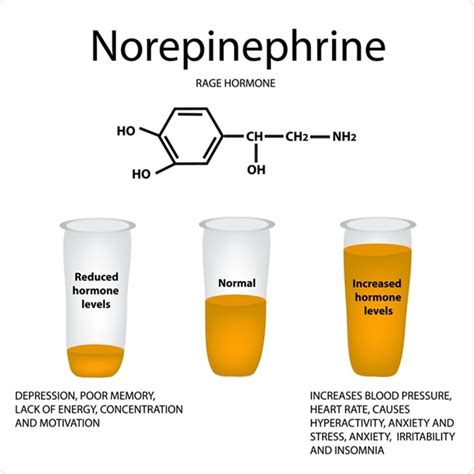 What is Norepinephrine?