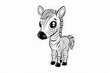 Cute Baby Zebra Coloring Page For Kids Graphic By Forhadx5 · Creative  sketch template