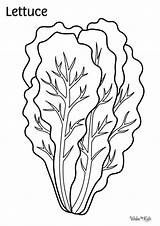 Lettuce Coloring Pages Free Printable PDFs  WakeTheKids sketch template