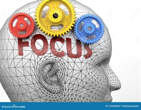 Focus And Human Mind - Pictured As Word Focus Inside A Head To ...