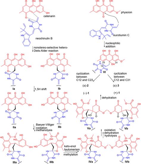 Scheme 1. Proposed Biosynthetic Pathway of Compounds 1−3 | Download Scientific Diagram