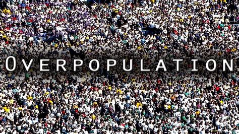 Overpopulation ~ I am Me