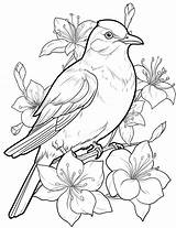 53 Bird Coloring Pages For Kids And Adults  Our Mindful Life sketch template