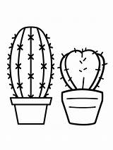 Succulent coloring Pages sketch template