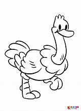 Cartoon Ostrich Coloring Page  Free Printable Pages sketch template