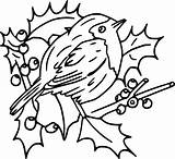 Small Robin Bird coloring Page  Download Print Or Color Online For Free sketch template