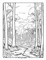 Forest Coloring Pages  World Of Printables sketch template