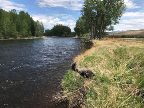 Melrose Riparian Planting – Big Hole Watershed Committee