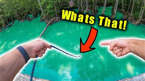 We Found The Best Magnet Fishing Spot Ever! (Crazy Day) - YouTube