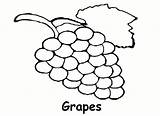Grapes coloring Pages To Download And print For free sketch template