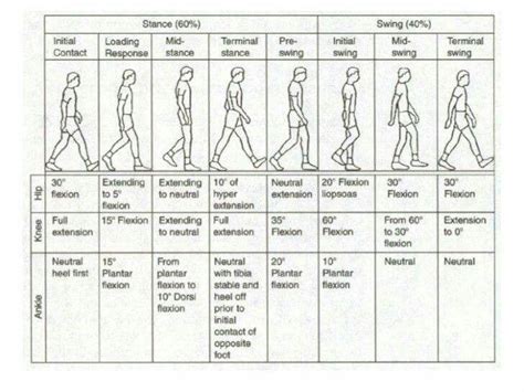 Gait analysis | Physical therapy assistant, Physical therapy school, Physical therapist assistant