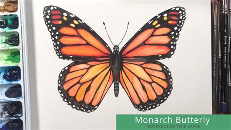 Monarch Butterfly Painting