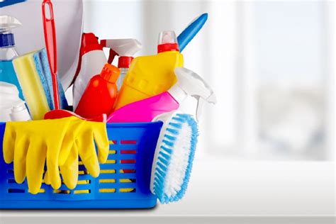 Housekeeping Services: What you can expect from your housekeeper - Next Day Cleaning